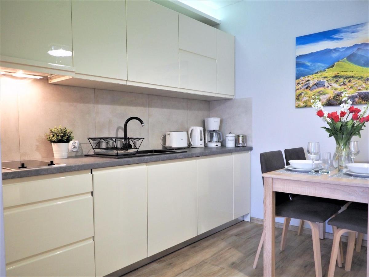 Vip Apartamenty Centrum Zakopane Kültér fotó