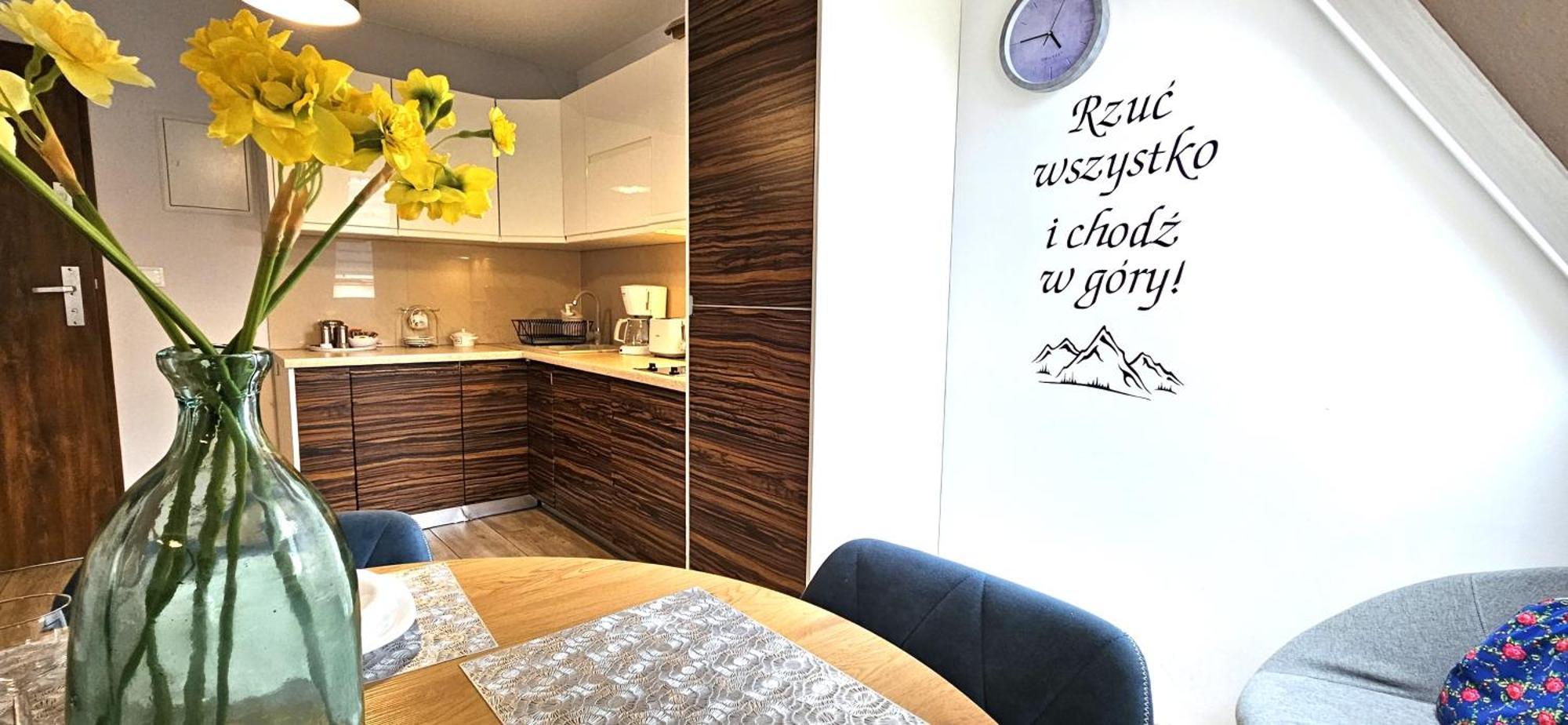 Vip Apartamenty Centrum Zakopane Kültér fotó